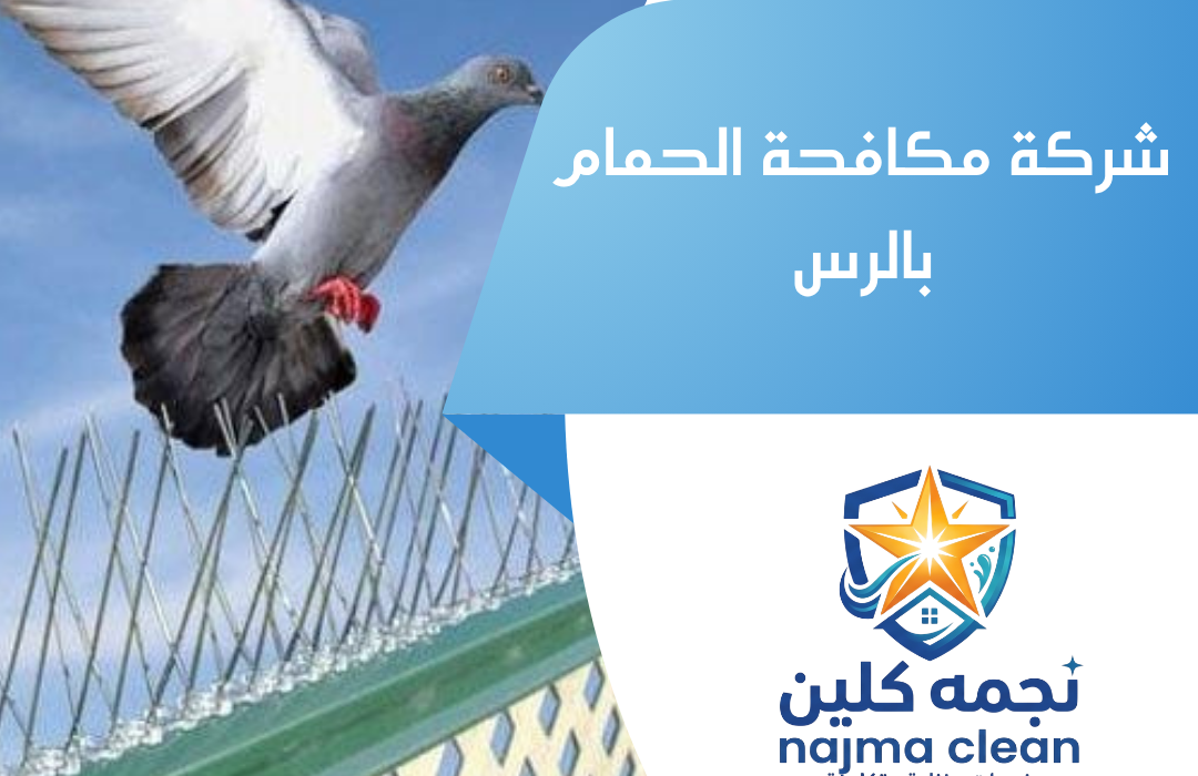 شركة مكافحة الحمام بالرس