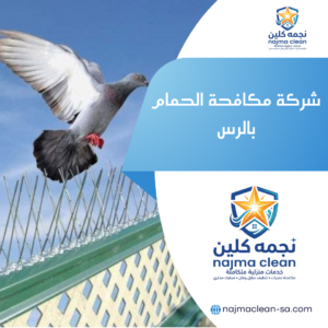 شركة مكافحة الحمام بالرس