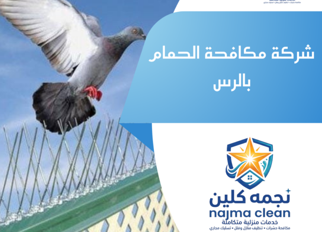 شركة مكافحة الحمام بالرس