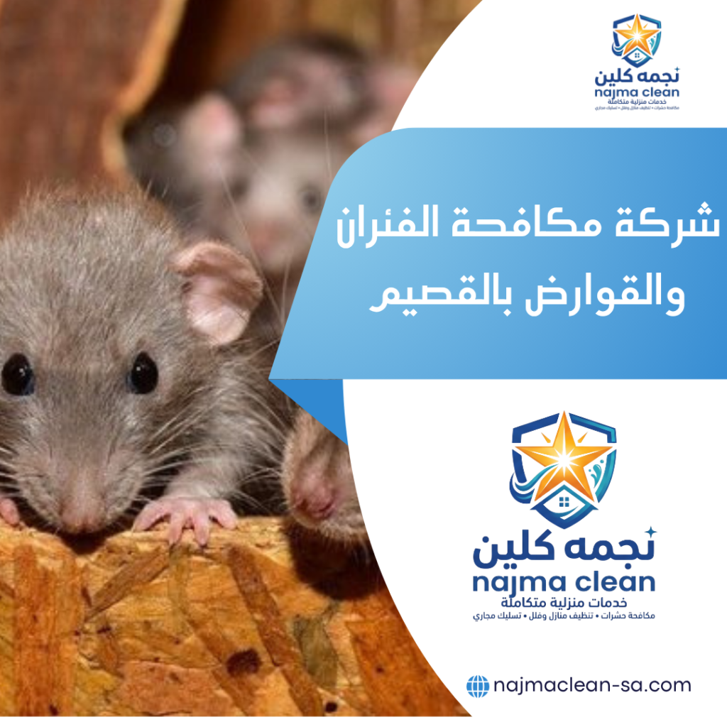 شركة مكافحة الفئران والقوارض بالقصيم
