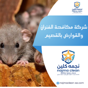 شركة مكافحة الفئران والقوارض بالقصيم