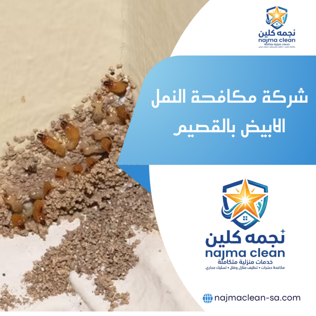 شركة مكافحة النمل الابيض بالقصيم