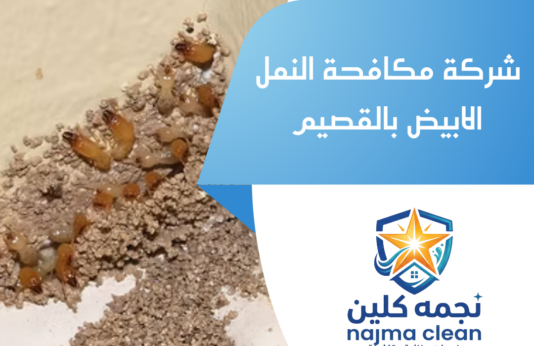 شركة مكافحة النمل الابيض بالقصيم
