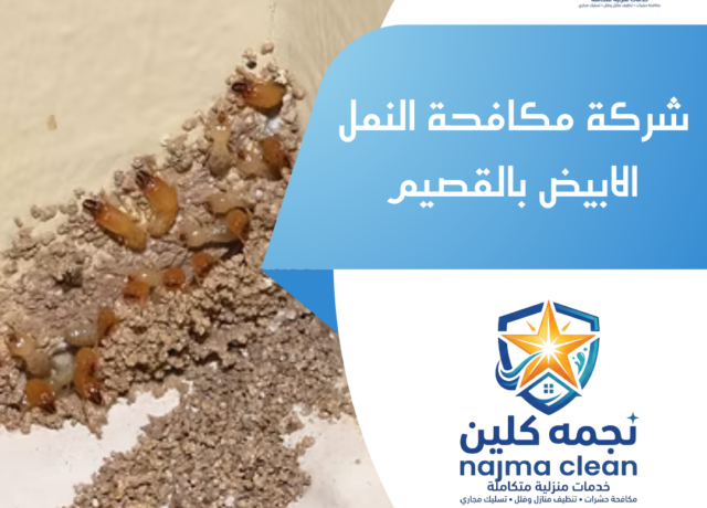 شركة مكافحة النمل الابيض بالقصيم