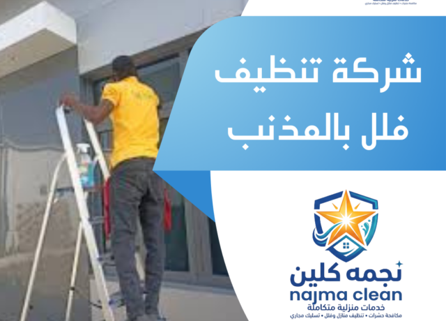 شركة تنظيف فلل بالمذنب