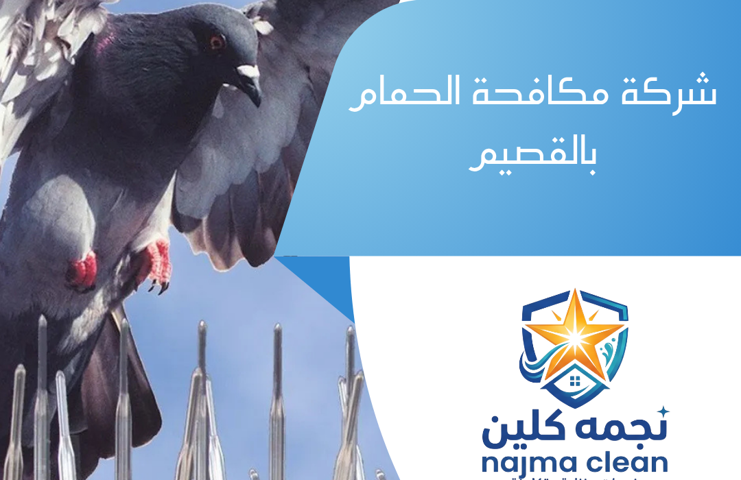 شركة مكافحة الحمام بالقصيم