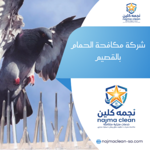 شركة مكافحة الحمام بالقصيم