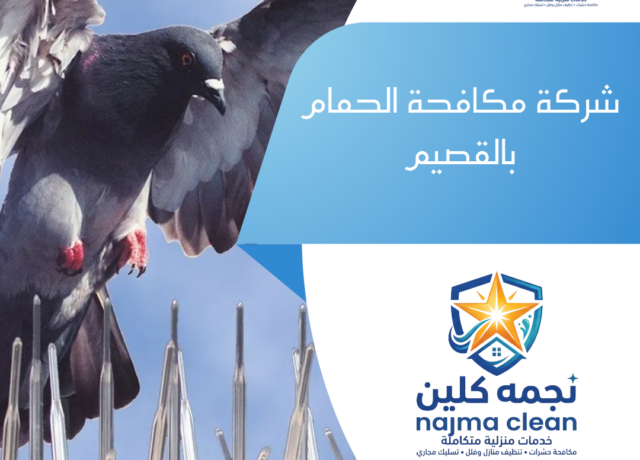شركة مكافحة الحمام بالقصيم