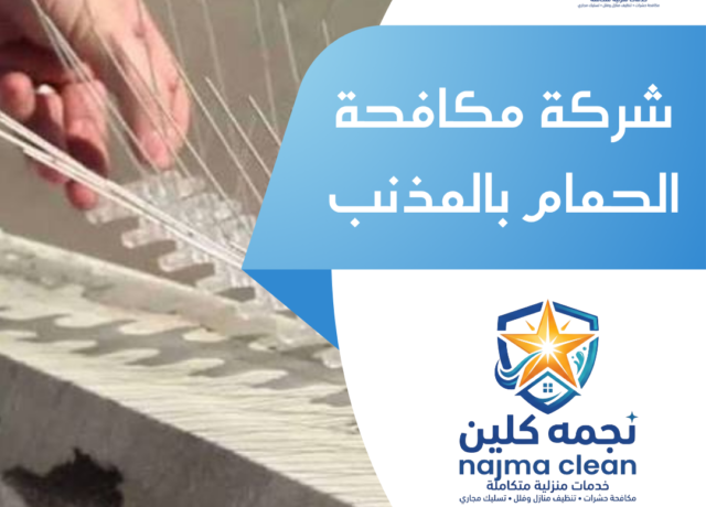 شركة مكافحة الحمام بالمذنب