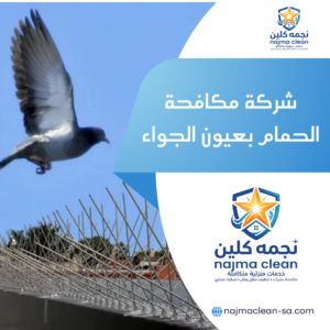 شركة مكافحة الحمام بعيون الجواء