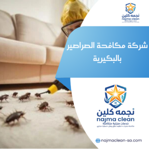 شركة مكافحة الصراصير بالبكيرية