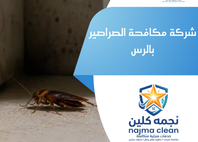 شركة مكافحة الصراصير بالرس