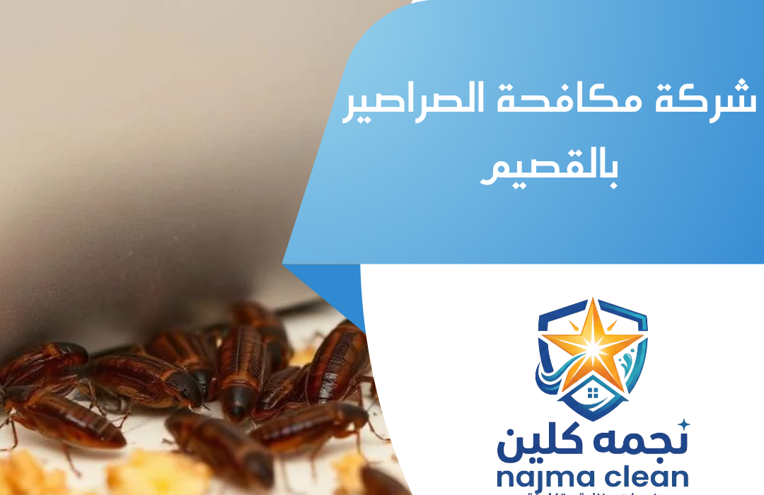 شركة مكافحة الصراصير بالقصيم