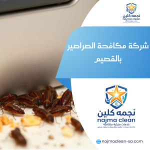 شركة مكافحة الصراصير بالقصيم