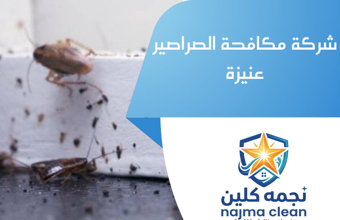 شركة مكافحة الصراصير عنيزة