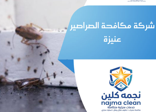 شركة مكافحة الصراصير عنيزة