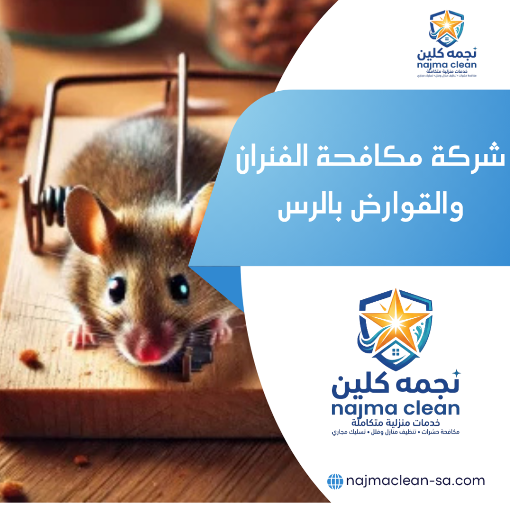 شركة مكافحة الفئران والقوارض بالرس شركة مكافحة الفئران والقوارض بالرس