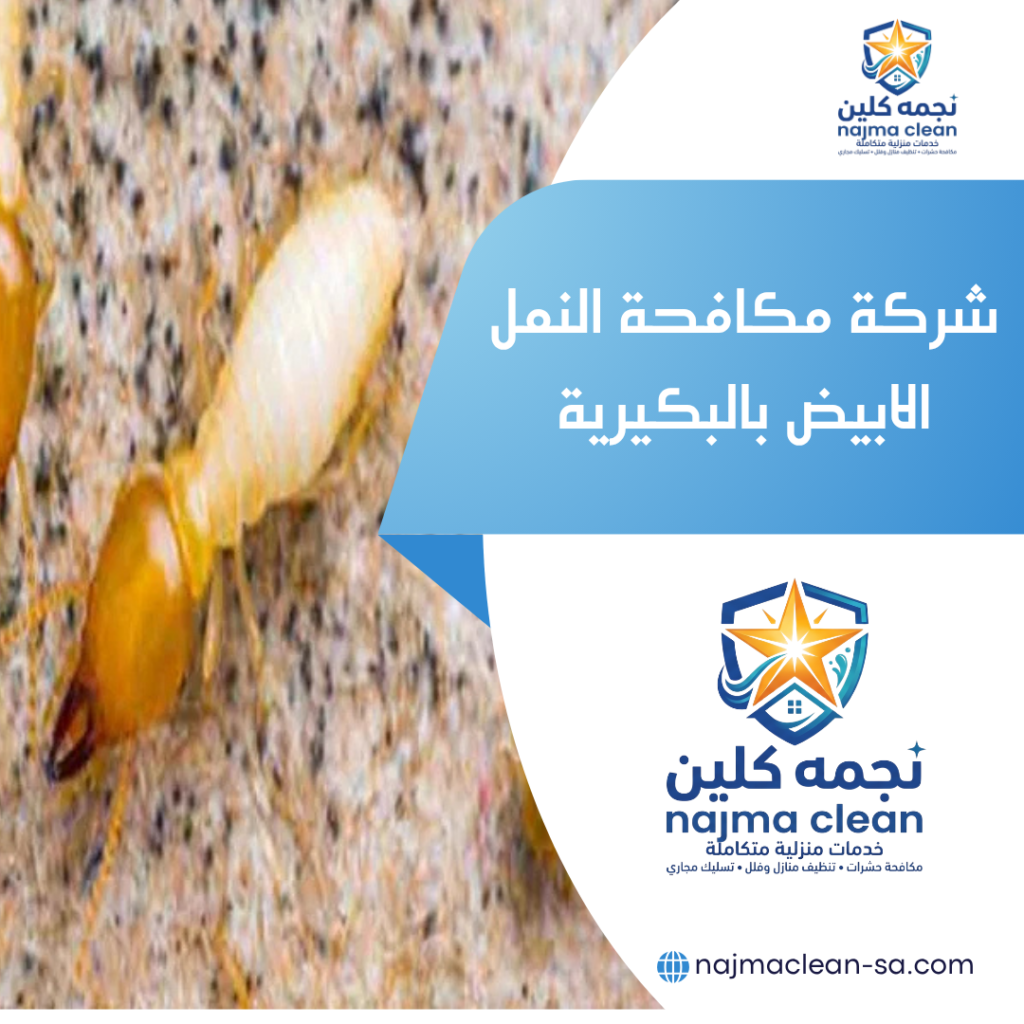 شركة مكافحة النمل الابيض بالبكيرية