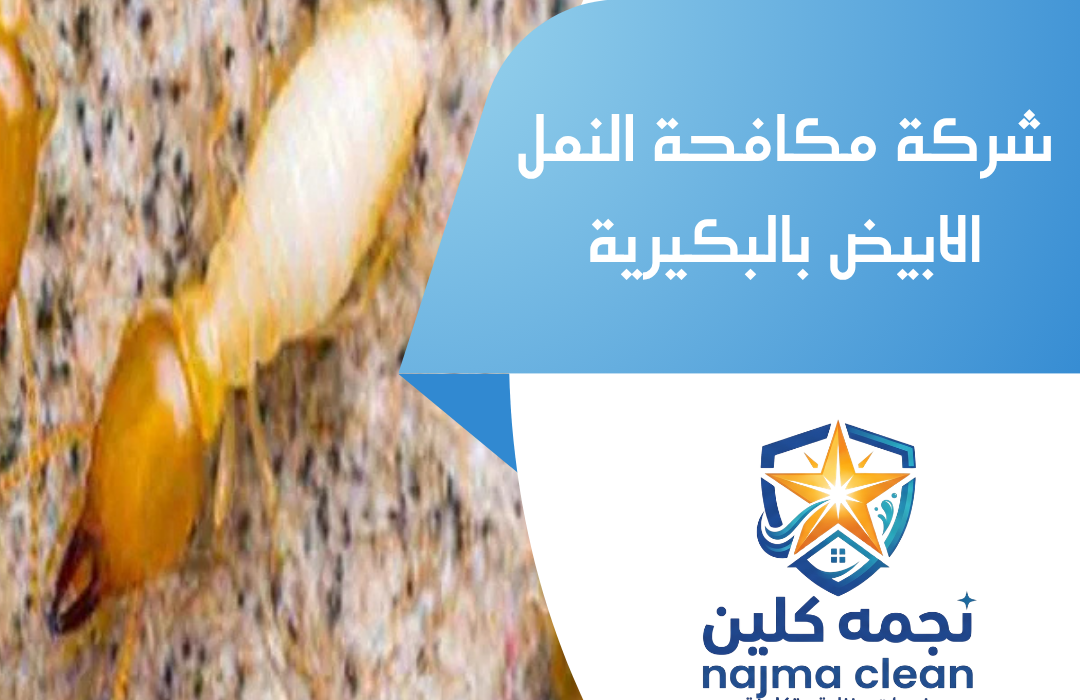 شركة مكافحة النمل الابيض بالبكيرية