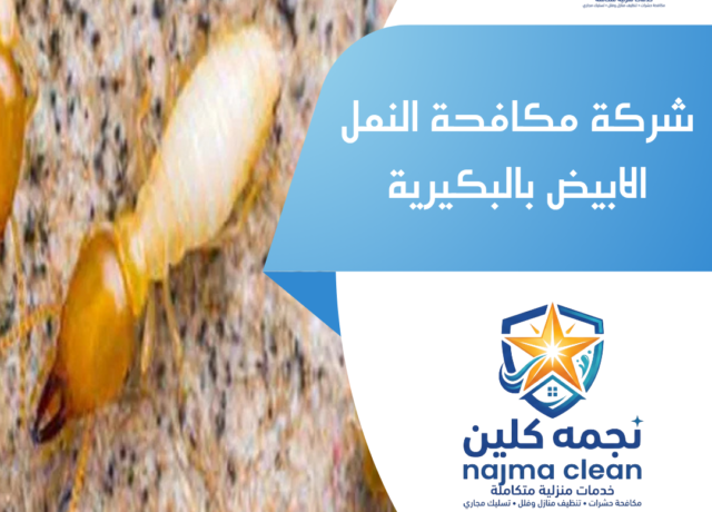 شركة مكافحة النمل الابيض بالبكيرية