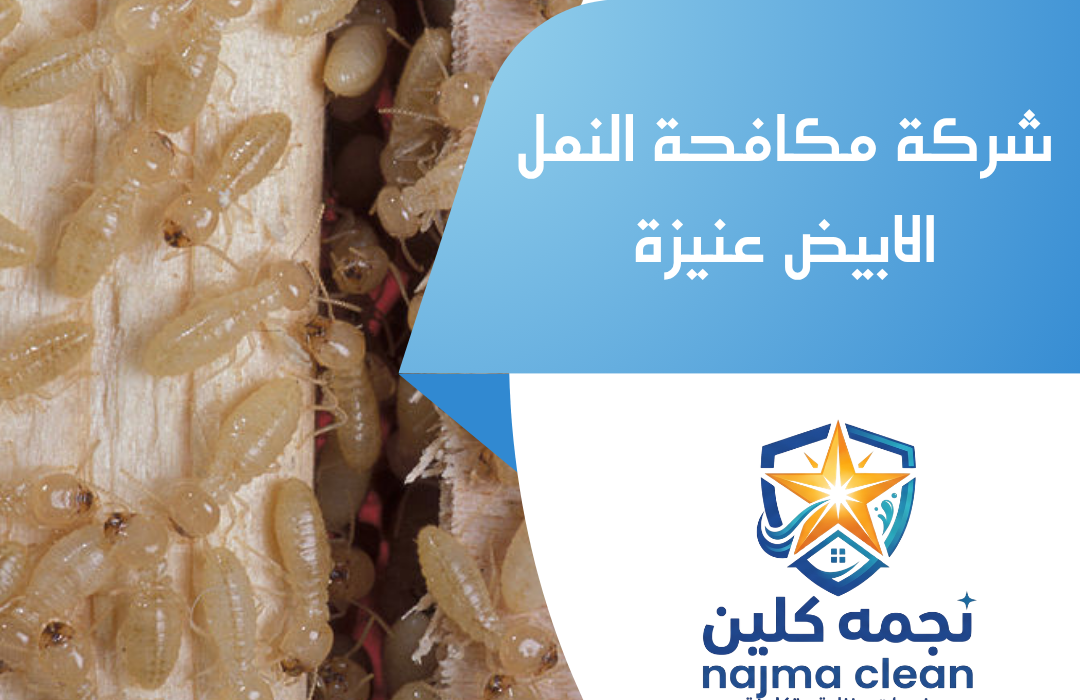 شركة مكافحة النمل الابيض عنيزة