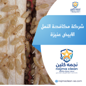 شركة مكافحة النمل الابيض عنيزة