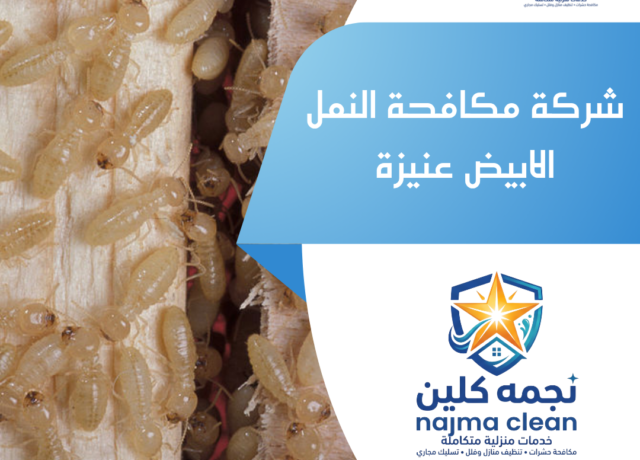 شركة مكافحة النمل الابيض عنيزة