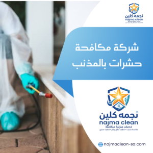 خدمات رش حشرات من نجمة كلين بالمذنب