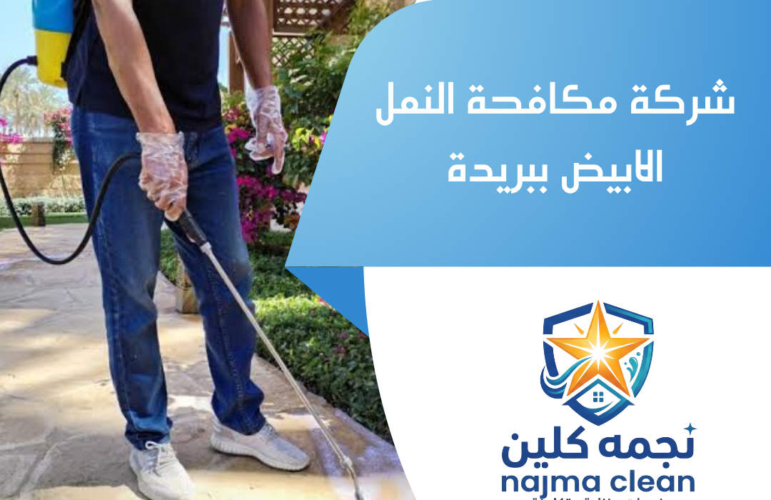 شركة مكافحة النمل الابيض ببريدة
