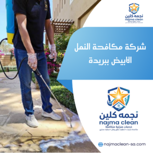 شركة مكافحة النمل الابيض ببريدة