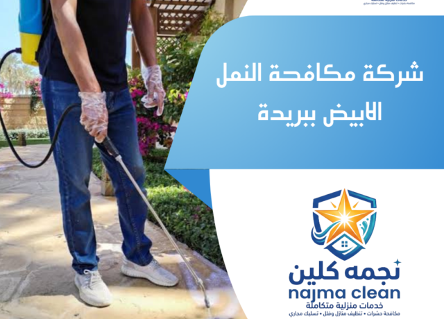 شركة مكافحة النمل الابيض ببريدة