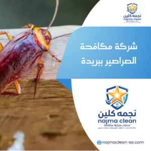 شركة مكافحة الصراصير ببريدة
