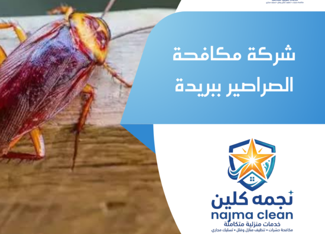 شركة مكافحة الصراصير ببريدة