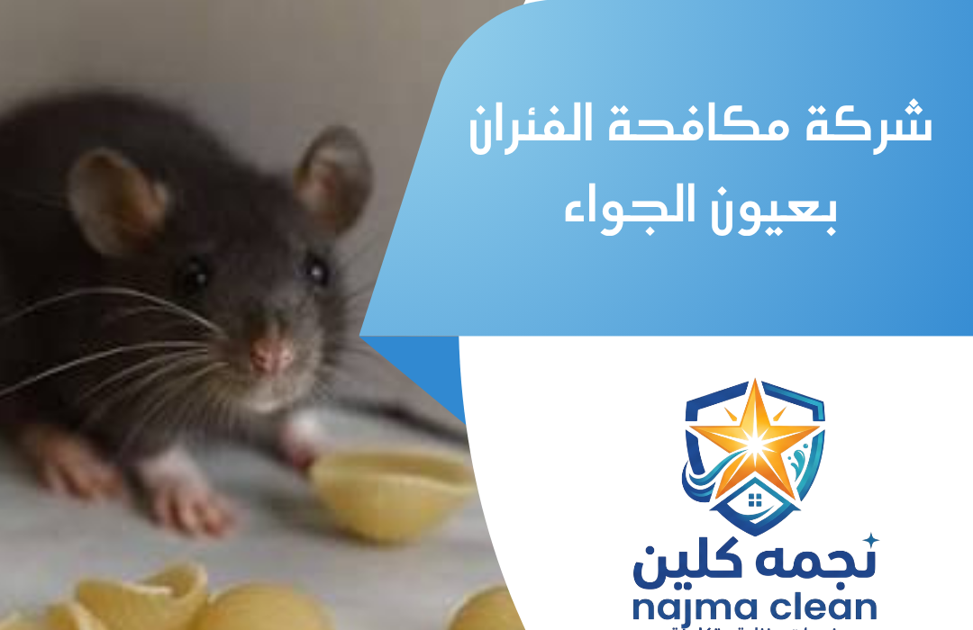 شركة مكافحة الفئران بعيون الجواء