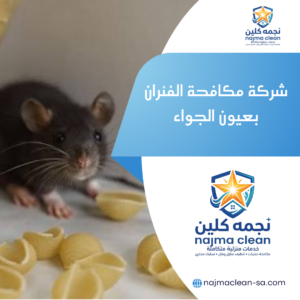 شركة مكافحة الفئران بعيون الجواء
