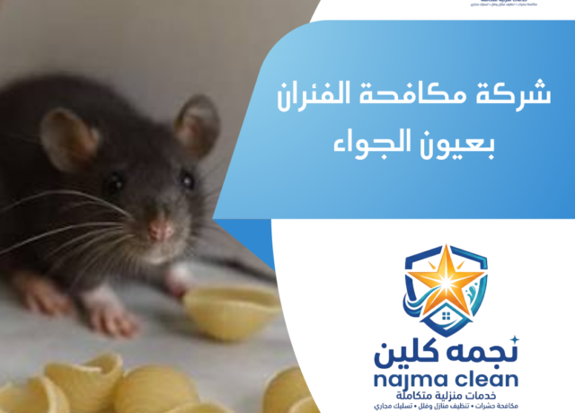 شركة مكافحة الفئران بعيون الجواء