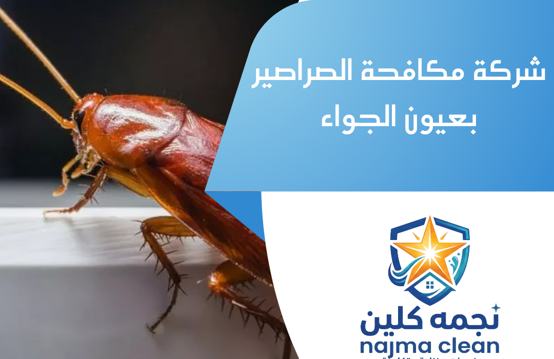 شركة مكافحة الصراصير بعيون الجواء