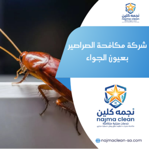 شركة مكافحة الصراصير بعيون الجواء
