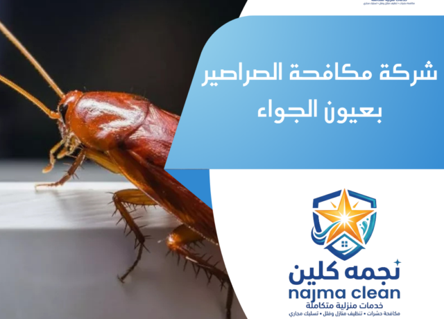 شركة مكافحة الصراصير بعيون الجواء