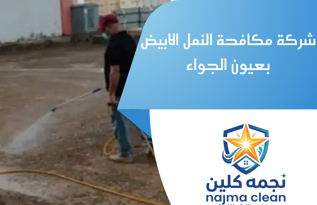 شركة مكافحة النمل الابيض بعيون الجواء