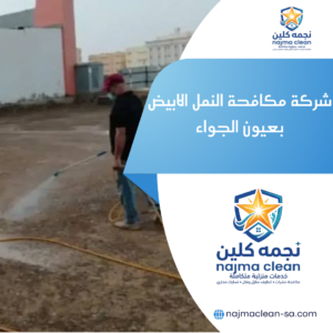 شركة مكافحة النمل الابيض بعيون الجواء