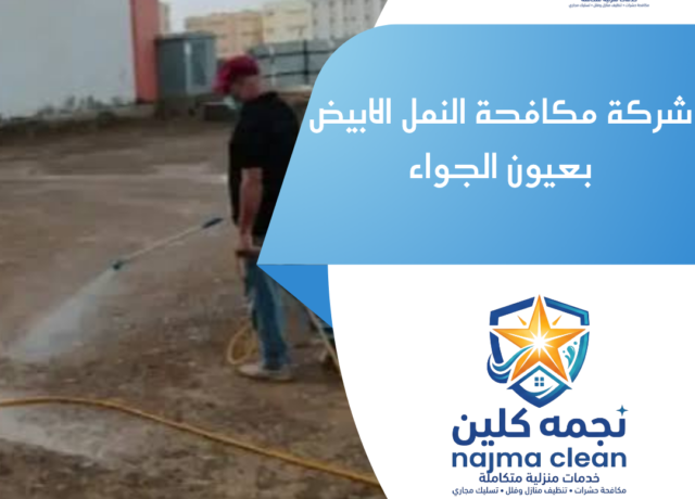 شركة مكافحة النمل الابيض بعيون الجواء