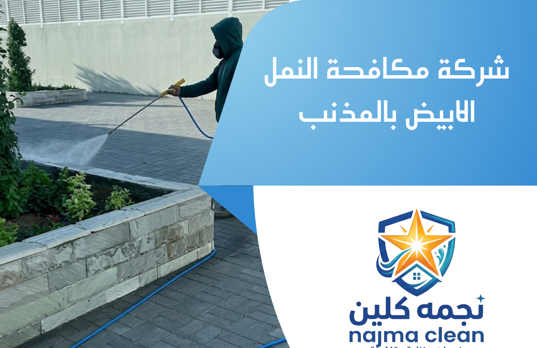شركة مكافحة النمل الابيض بالمذنب