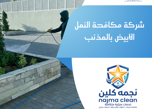 شركة مكافحة النمل الابيض بالمذنب