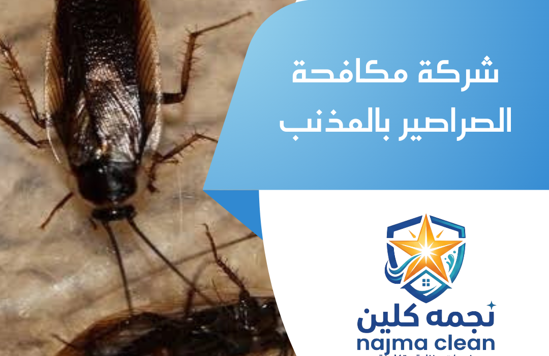 شركة مكافحة الصراصير بالمذنب