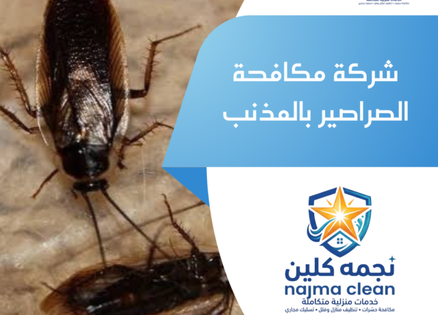 شركة مكافحة الصراصير بالمذنب