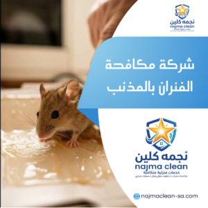شركة مكافحة الفئران بالمذنب