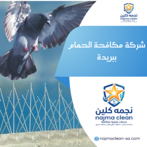 شركة مكافحة الحمام ببريدة