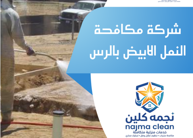شركة مكافحة النمل الابيض بالرس