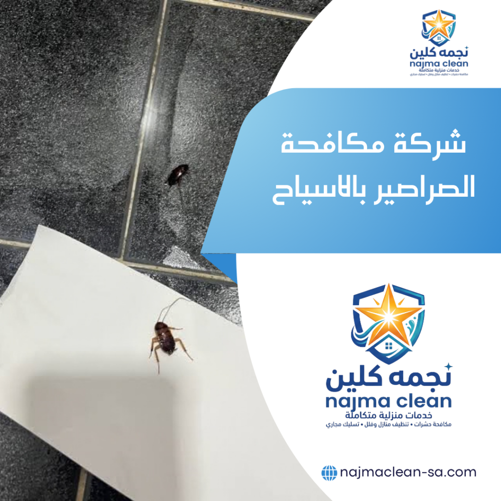 شركة مكافحة الصراصير بالاسياح مكافحة الصراصير بالاسياح